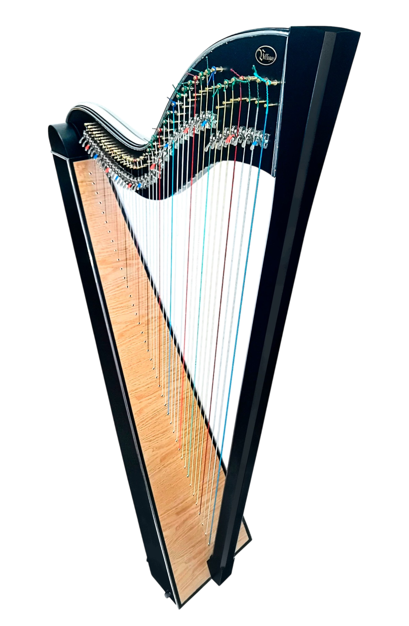 Modelo TITAN 41